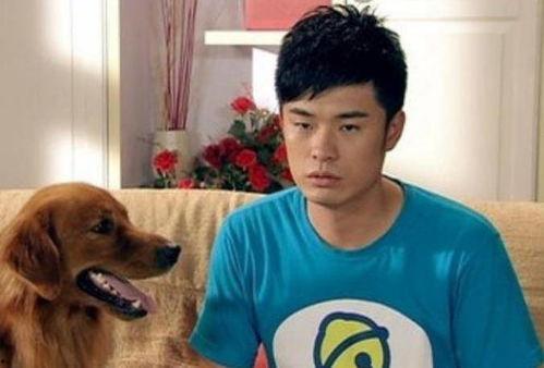 大狼狗夫妇爆料视频,揭秘娱乐圈背后的惊人真相